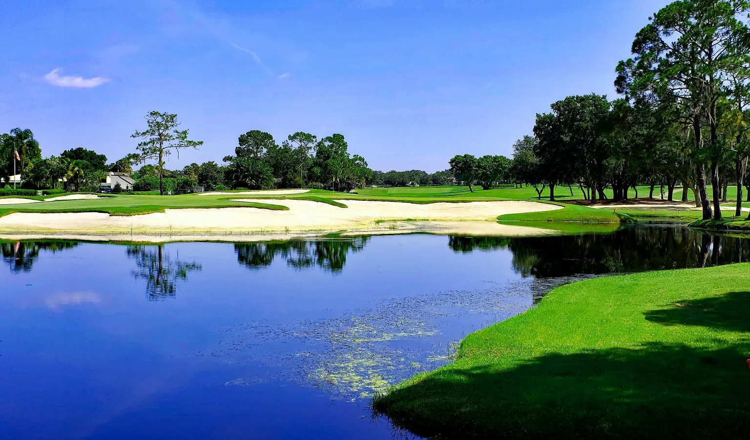 Bay Hill Orlando area real estate