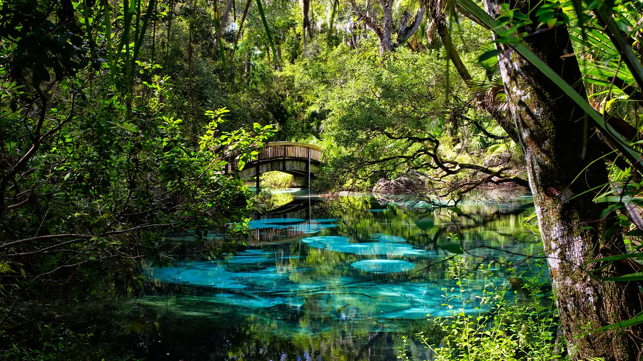 Crystal clear natural spring water in Central Florida near Orlando