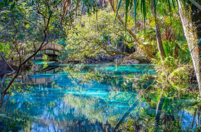 Juniper Springs recreation area in the Ocala National Forest with lush canopy and clear spring water