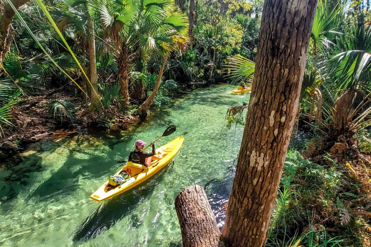 Aerial view of Rock Springs at Kelly Park in Apopka Florida showing the crystal clear spring run