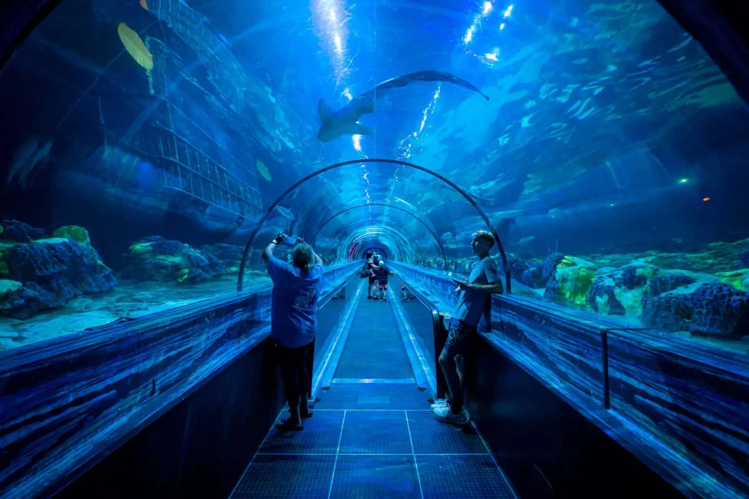 SeaWorld Orlando aquarium in 32821 zip code near Williamsburg and Lake Buena Vista