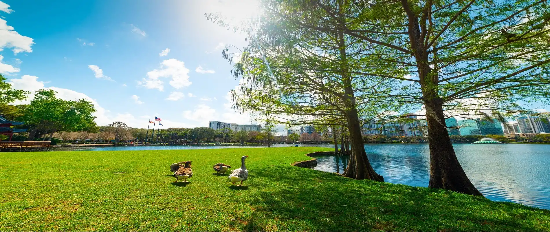Lake Eola Park in Downtown Orlando near Thornton Park with fountain and skyline